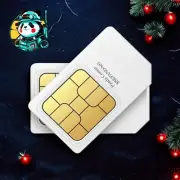 USA ~ CANADA ~ MEXICO IOT DATA SIM CARD 2gb ~ 360 Days INRICO HYTERA ZELLO