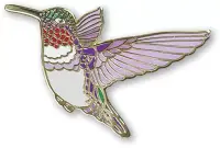 在飛比找博客來優惠-Hummingbird Hard Enamel Pin: C