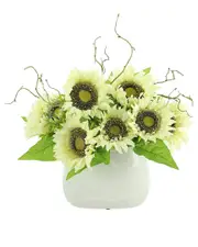 Creative Displays Cream Daisy And Curly Willow Arrangement