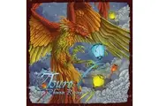 Tsuro Phoenix Rising Board Game