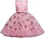 [Generic] Kids Children's Summer Sleeveless Lace Neck Patchwork Sleeveless Princess Dress and White Striped Dress Tulle Dress for Girls
