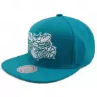 Mens MITCHELL & NESS NBA BACK TO BASICS SNAPBACK HWC HORNETS