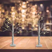 Costway60CM 2PCS Lighted Tabletop Artificial Twig Birch Tree with Warm White LED Lights