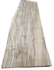 Maple Spalted Ambrosia Wormy wood veneer 11" x 31" raw no backer 1/42" thickness