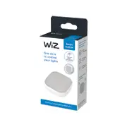 WIZ Remote Smart Globe