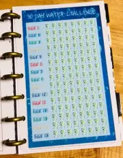 30 Day Water Challenge Dashboard for use with the MINI Happy Planner