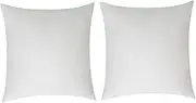 ETHZZLE 2pcs Soft Fluffy Square Pillow Inserts Reliable Cushion Stuffers for Covers for Sofa Couch Support with Strong Rebound