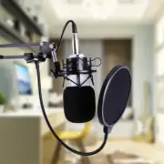 Condenser Microphone Pop Filter Kit Broadcast Studio Recording Arm Stand Mount