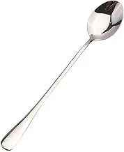 Spoons Stainless Steel Soup Spoons Small Coffee Spoon Soup Spoons Table Spoons Stainless Steel Long Handle Ladle Spoons, Set of 10 Tiny Spoon(Color:Tip Spoon)