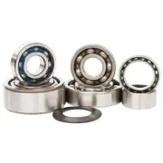 Transmission Bearing Kit For 02-19 Honda TRX 250 TM Recon