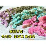 ✿特殊手染✿ 星辰 現貨供應 星辰花 勿忘我 乾燥花 拍照道具 花束 花材 捧花 DIY 素材 永生花 朵希幸福烘焙