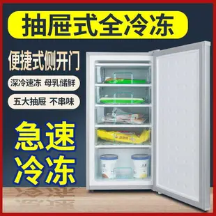冷凍櫃 家用小型冰柜冷柜商用冷凍柜全冷凍側開門立式全冷凍冰箱特價包郵