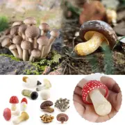 Simulate Mushroom Model Landscape Garden Decor Kids Educate Toy Fungus Figurine