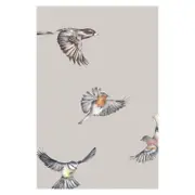 Wallpaper Early Bird Grey