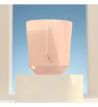 在飛比找誠品線上優惠-【AT&T】BlF法國百年蠟燭廠 粉紅牡丹200g