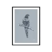 Rosella Australian Bird in Wedgewood Blue Fine Art Print - FRAMED