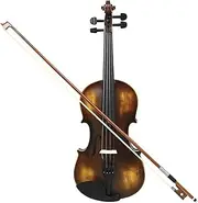 Violin for Beginners Adults 4/4 Violin Retro Bright Light Solid Wood Professional Violin Musical Instruments with Case Bow(4-4 violin)