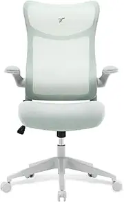 TT Airflex V2 Ergochair Mesh Office Chair Ergonomic Chair (Minty Green)
