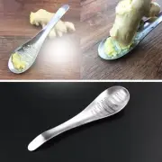 Stainless Steel Ginger Grater Spoon Ginger Tea Spoon Garlic Grater Lemon Zes~'l