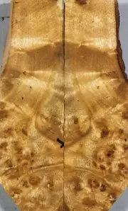 Pistol Grips Worm-hole Golden Camphor Wood Burl Handles 5.2"x3.2"x0.4"