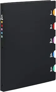 Maruman F483A Loose Leaf Binder A4 Five Chart, 30 Holes, Black