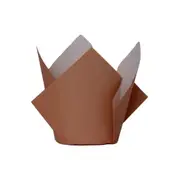 Acorn Brown Tulip Cupcake Cases 20pk