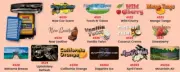 Car Dealer Bulk Air Freshener Pads 60 per pack