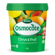 scott osmocote 1kg citrus fruit controlled release fertiliser