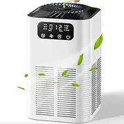 Air Purifiers for Home, Astraio Air Purifier AP003 for Home Large Room With Low Noise, H13 True HEPA Air Filter with Fragrance Sponge, 25dB Quiet Air Purifiers for Bedroom Smoke Pet Pollen (AU Plug)