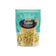Soybean Sprouting Seeds - 100g - Untamed Health