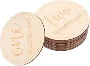 CRILSTYLEO 12 Pcs Milestone Cards Wood Monthly Milestone Discs Monthly Milestone Discs for Photo Prop Round Monthly Milestone Discs Wooden Monthly Milestone Markers