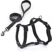 Dog Harness Leash Set, No Pull Adjustable Halter Cute Comfort Padded Handle for Medium Sized Large Small Dogs Walking Training Running with Reflective（Large,Black）