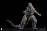 NEW W-Dragon Godzilla Vs Kong 2021 30Cm Figure Regular Edition 30 cm JP Sealed