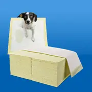 Taily Pet Training Pads 200pcs, 60x60CM Disposable Dog Pee Pads for Puppies, Dogs, Cats, Lemon