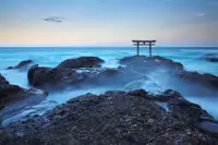 在飛比找雄獅旅遊優惠-東京旅遊｜日立海濱公園.絕美海上鳥居.大洗水族館.迪士尼樂園