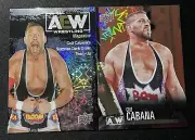 Colt Cabana 2021 Upper Deck AEW Dynamite & Pyro Parallel Lot