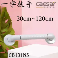 在飛比找蝦皮購物優惠-含發票 caesar 凱撒衛浴 GB131N ABS抗菌扶手