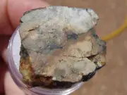 12.5 grams DJOUA 001 Meteorite Enstatite achondrite (Aubrite) slice with COA