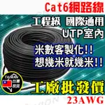 網路線 CAT6 UTP 室內用 1米 1M 客製化 電話線 8芯 適 監控 非 CAT5E 大同