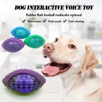 在飛比找蝦皮購物優惠-丸子精選Pet ball Dog bite toy foot