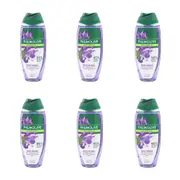 6x Palmolive Naturals 500ml Body Wash Bath Soap Anti-Stress w/Ylang Ylang & Iris