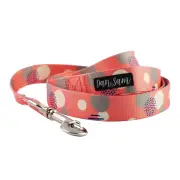 Dan & Sam Polyester Webbing Lead For Dogs - Fabulous 1.5 X 150cm - Small