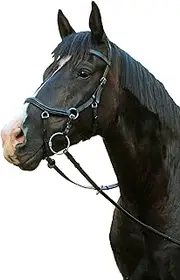 Mcalister Micklem Style Competition Bridle Brown Full