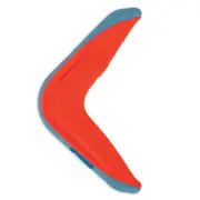 Interactive Boomerang Fun Dog Toys
