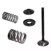 Psychic Exhaust Valve Kit for Yamaha TW200 Trailway 200, XT225 & XT250