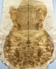 Figure Electric Bass Top Worm-hole Golden Camphor Wood Burl Set Luthier Supply