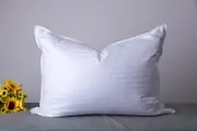 ArcticNorthDown King Size Goose Down Feather Hotel Collection Bed Pillows for