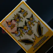 Pokemon S-Chinese Jolteon Theme Card Sleeve Sealed from Eevee Gift