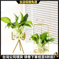 在飛比找蝦皮購物優惠-【全店促銷免運】 水耕盆栽 水耕花器 水耕 熱銷水耕瓶 水培