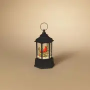 Battery Operated Lighted Spinning Water Globe Lantern with Cardinal, 9.1-Inch He